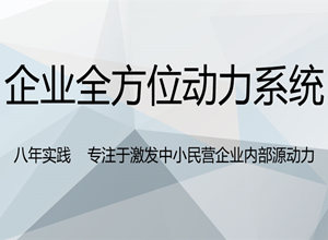 企业全方位动力系统课程怎么样？讲什么？方案有效果吗？